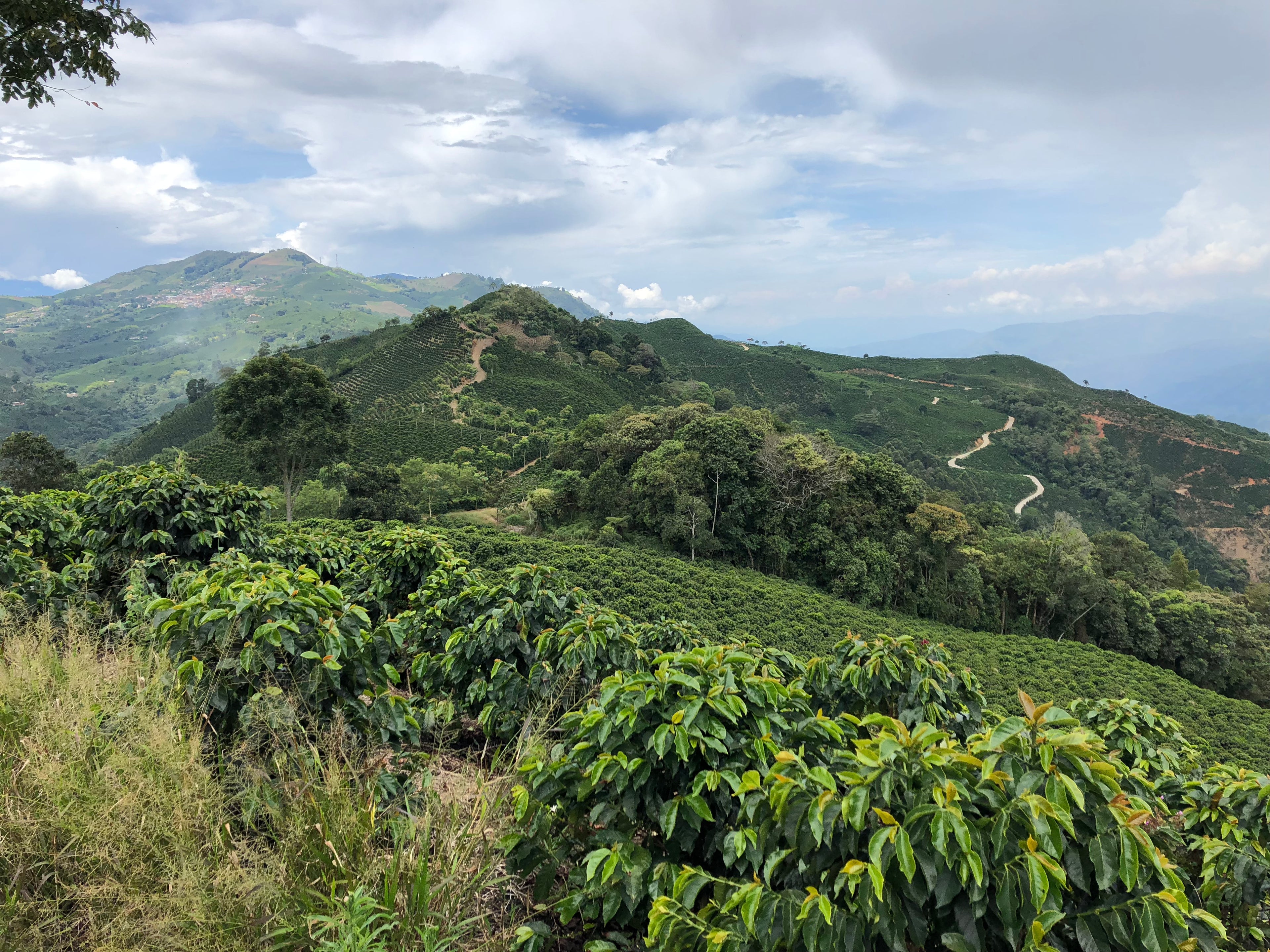Colombia Finca La Costa Single Origin