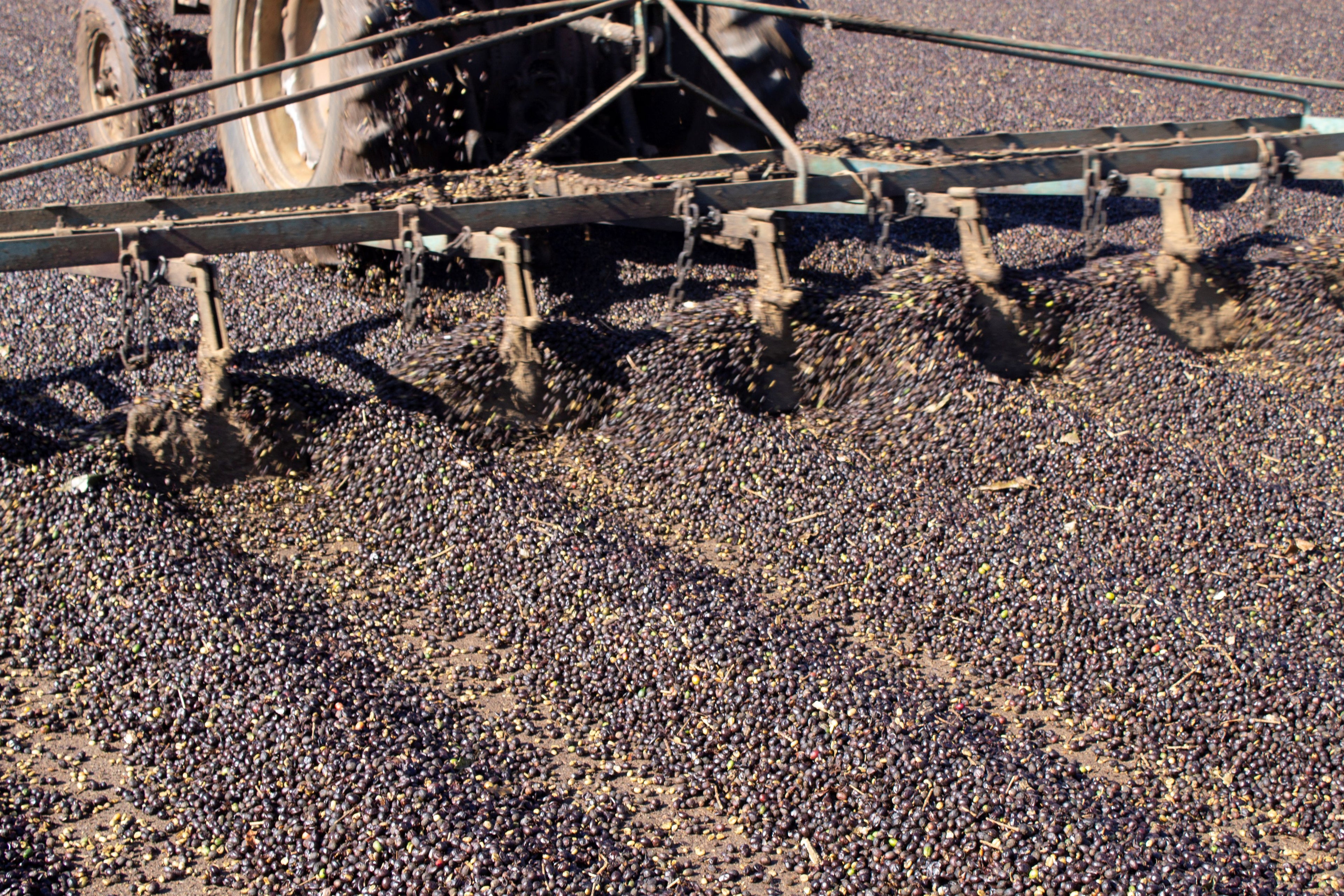 Brazil Fazenda Vereda Single Origin Espresso