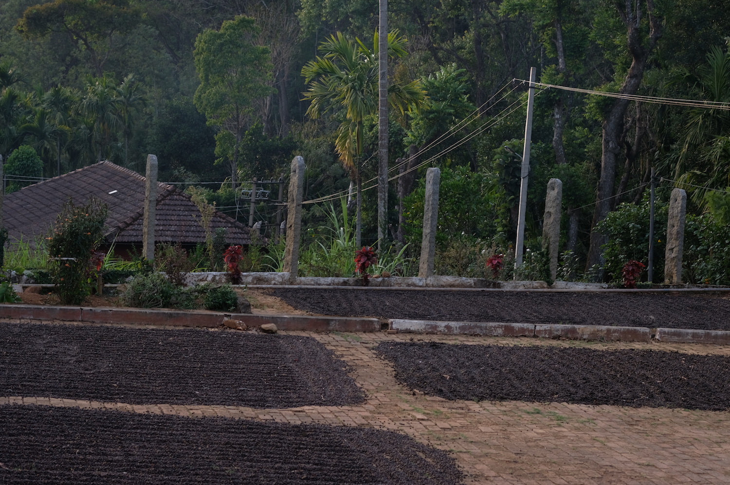 Finca El Pezote Cup of Excellence No.12 Single Origin Filter