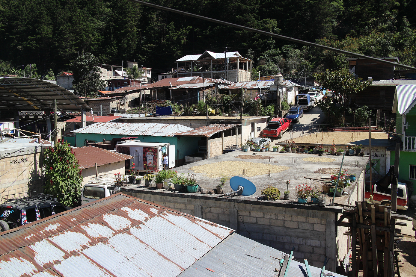 Mexico Finca Los Laureles Bio Single Origin Filter