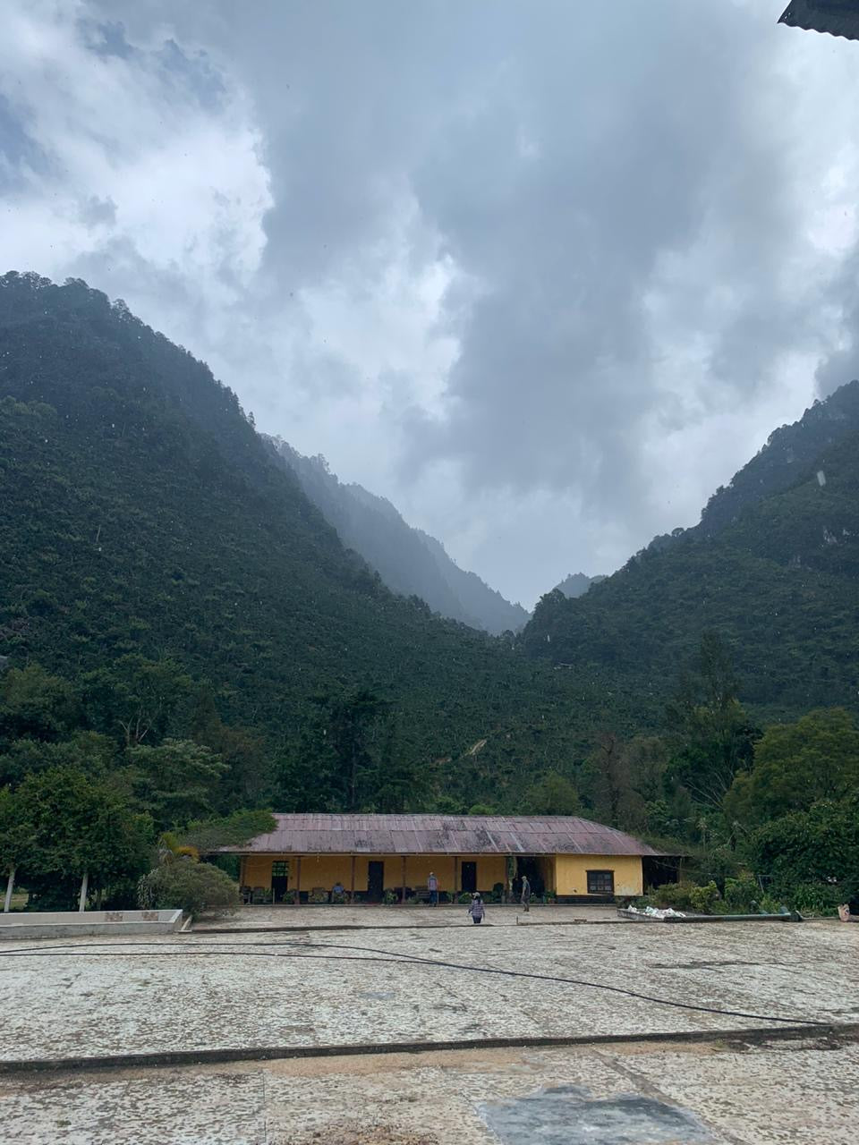 Guatemala Huehuetenango Single Origin 