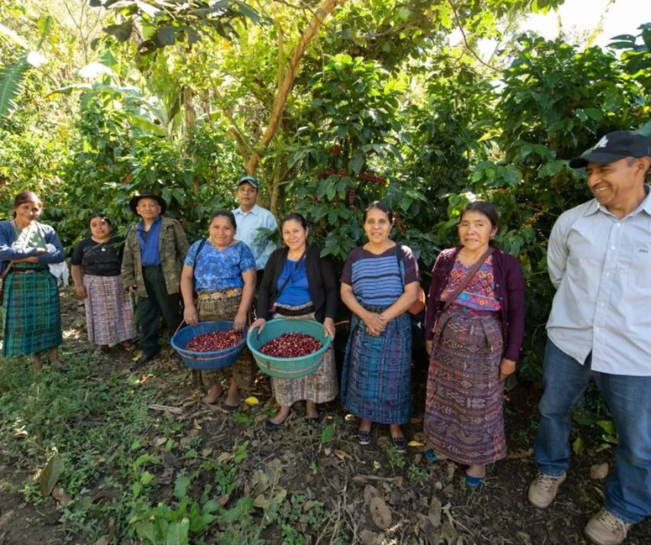 Guatemala Huehuetenango Single Origin 
