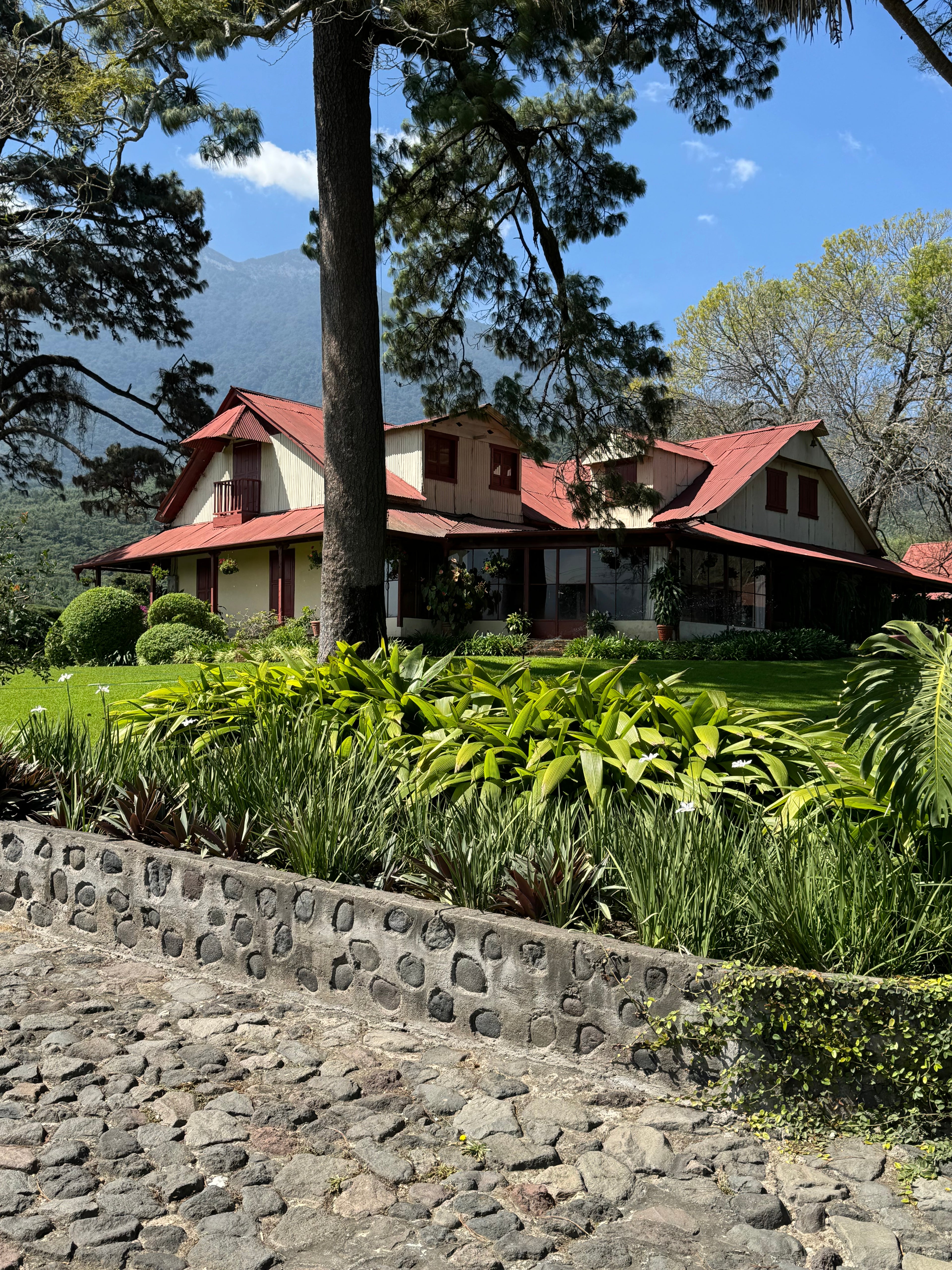 Finca San Sebastian Single Origin Espresso 