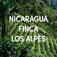 Nicaragua Finca Los Alpes Single Origin Espresso